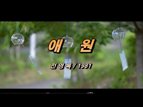 애원 전영록 1981 가사 자막