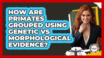 How Are Primates Grouped Using Genetic Vs Morphological Evidence? - Anthropology Insights