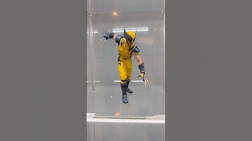 WOLVERINE RANT 💔💔 #fyp #hottoys #collection #actionfigures #wolverine #deadpool #toys