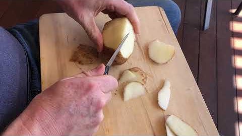 ARCS2011 Potato blade core and burin demonstration