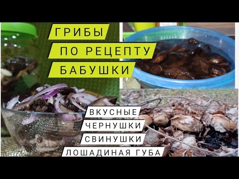 ❓КАК ВКУСНО ЗАСОЛИТЬ ГРИБЫ/ ❌что делать НЕЛЬЗЯ❓грибная закуска🤤ЧЕРНУШКИ/СВИНУШКИ