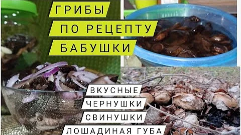 ❓КАК ВКУСНО ЗАСОЛИТЬ ГРИБЫ/ ❌что делать НЕЛЬЗЯ❓грибная закуска🤤ЧЕРНУШКИ/СВИНУШКИ