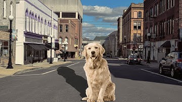 Pixlr E- Adding Shadows- It