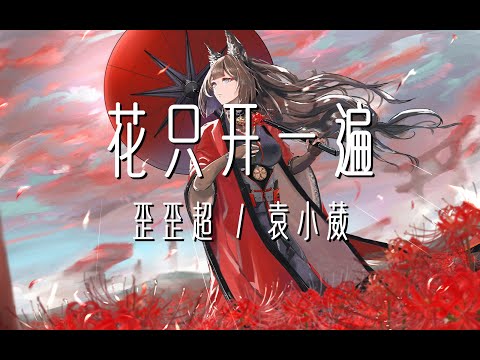 “我的花只开一遍，错过便是永远”！花只开一遍 - 歪歪超 / 袁小葳
