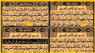 Surah Yaseen + Surah Rahman + Surah Al Waqiah + Surah Al Mulk || Four Surah Of Quran