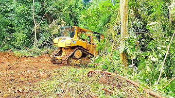 The Expertise of the CAT D6R XL Dozer Operator Did an Excellent Job of Clearing Oil Palm Land