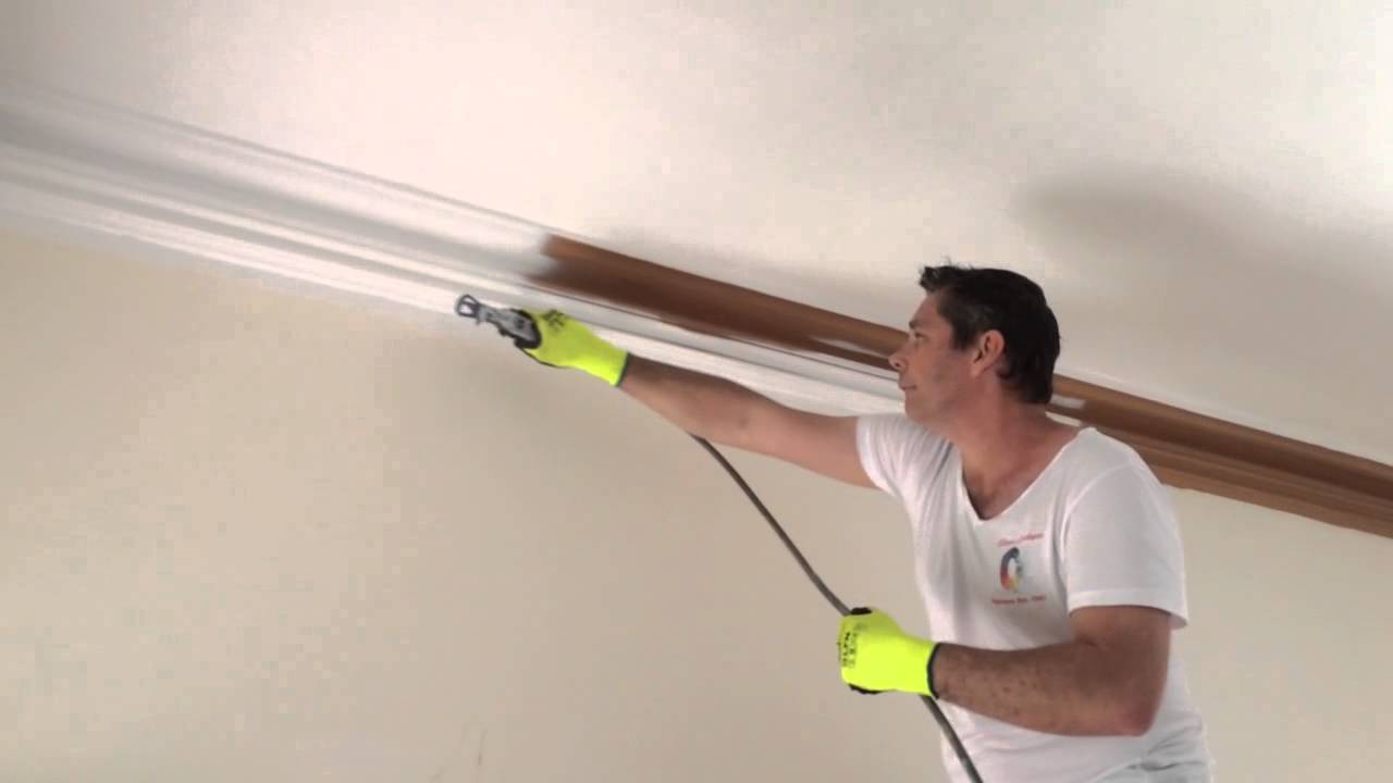 Wagner airless with 415 tip