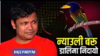 Nyauli Baru Dalima Nidayo ||Raju Pariyar || lok dohori न्याउली बरु डालीमा निदायाे राजु परियार