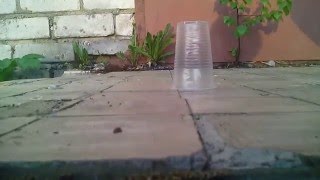 Фокус Фокус
