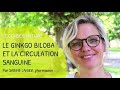 Le ginkgo biloba et la circulation sanguine  le conseil naturo par dietaroma