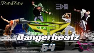 Electro & House Music 2014 - New Dance Club Mix 64 [PeeTee]