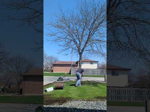 Leveling a Bumpy