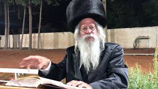 הספר הנשרף