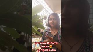 online plant packing and good review / Customer Feedback video #shorts #gardening #onlineplantsale