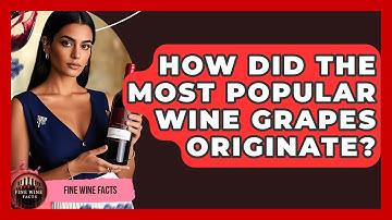 How Did The Most Popular Wine Grapes Originate? - Fine Wine Facts
