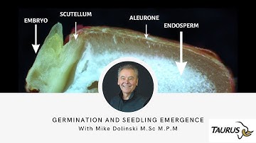 Germination & Seedling Emergence