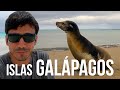 🐢 Recorriendo las ISLAS GALÁPAGOS buscando sus especies más emblemáticas