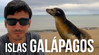 🐢 Recorriendo las ISLAS GALÁPAGOS buscando sus especies más emblemáticas