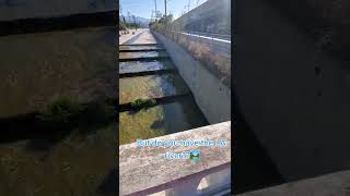 Celebrity LA river🏞  #losangeles  #lariver Wealth