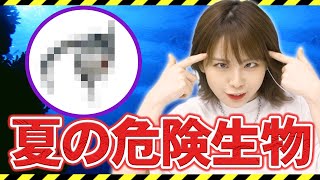 ヤバい生物に刺され、感電したような痛みに悶絶した話【西村ほのか/荒野行動】