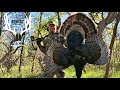 Hunting turkey with a bow | Aiming for the neck