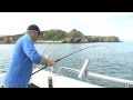 Smoothhound fishing with dave lewis