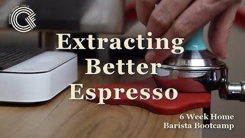 Espresso Extraction Beginner’s Guide: Creating the Perfect Espresso Recipe