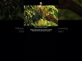 A Silent Glance To The Sky рџ ЉпёЏ Inspirationalvideo Lifelesson Shorts A Silent Glance To The Sky рџ ЉпёЏ Inspirationalvideo Lifelesson Shorts