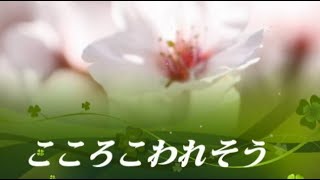こころこわれそう 岩波理恵 カラオケ haku 岩波理恵 検索動画30 こころこわれそう 岩波理恵 カラオケ haku 岩波理恵 検索動画 30