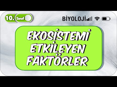 Video: Ekosistemi etkileyen faktörlerden bahseden ekosistem nedir?