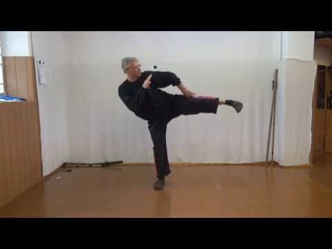 Corona online Training: Wing Tsun und Freistil workout 60 ...