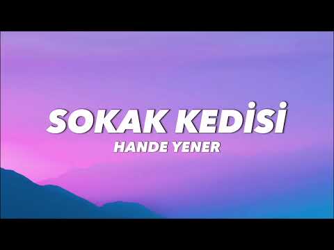 HANDE YENER - SOKAK KEDİSİ (lyrics/ sözleri)