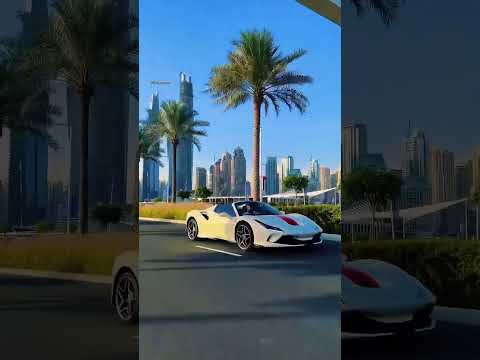 Habibi come to Dubai #dubai #travel #shorts #viral #shortsvideo #life #trending