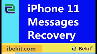 iPhone 11 Disappeared Text Messages Recovery