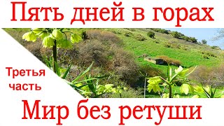 Пять дней в горах Апрель 2021 Часть третья Туркменистан Копетдаг