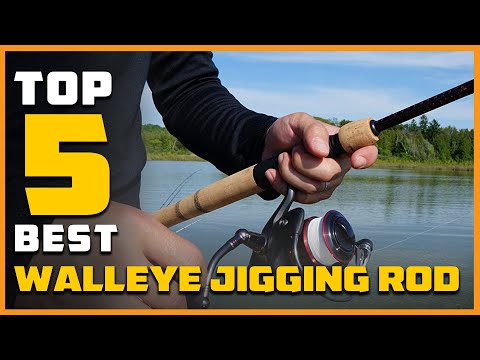 Top 5 Best Walleye Jigging Rods [Review 2023] - Elite Tech