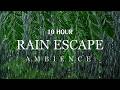 Leave This On All Night to Sleep Deeply | Heavy Rain Sounds, Insomnia & Tinnitus Relief ASMR