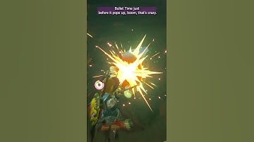 Quick Bullet Time Korok | Zelda BOTW | #shorts .SUB for BOTW.