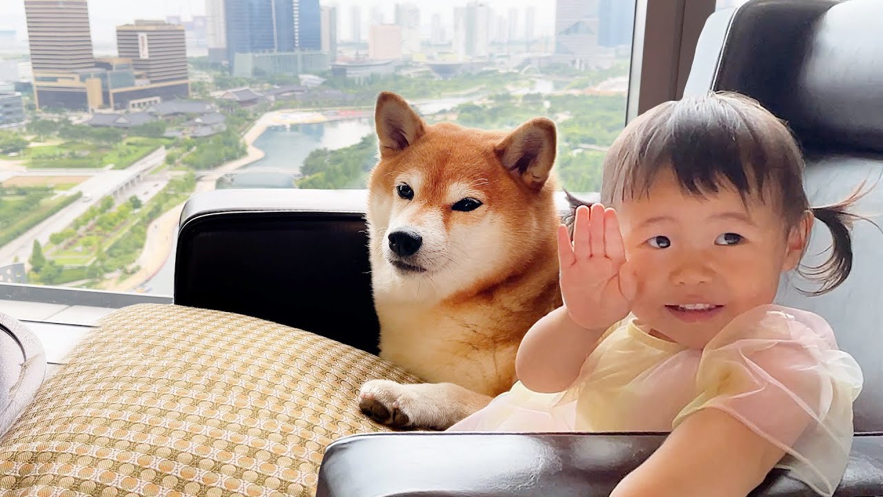 곰이랑 호캉스 다녀왔어요!