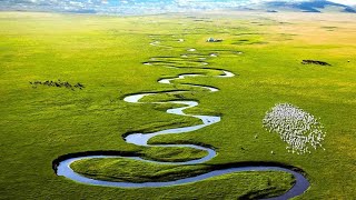 王菲 《微風細雨》 小草也在輕輕低語