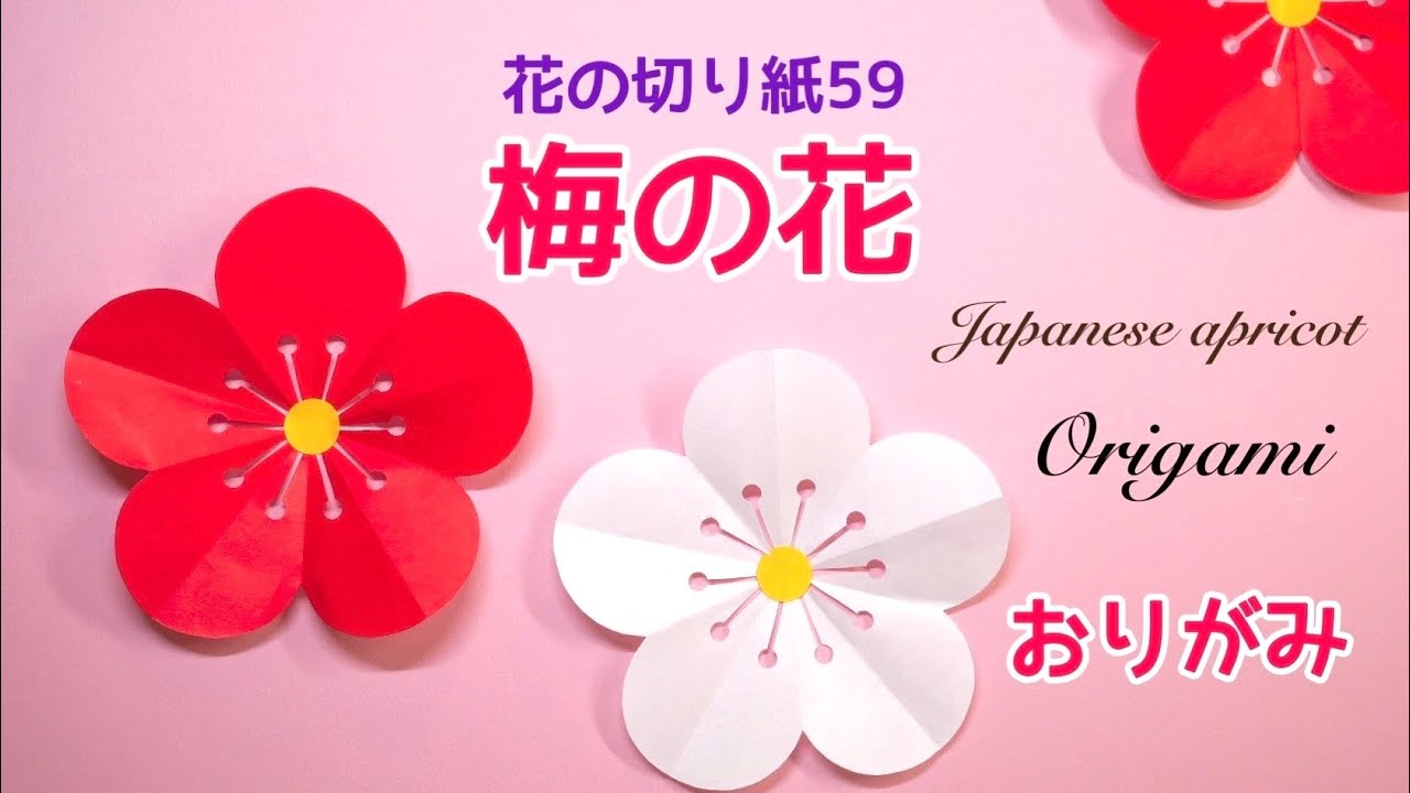 【折り紙】梅の花/花の切り紙(59)Japanese apricot
