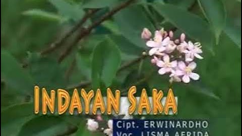 Indaian Saka - Lisma Afrida(Official Video Music) Lagu Lampung