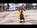 Mans Best Friend Protection Training Mans Best Friend Protection Training