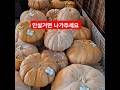 웃음#힐링 #개그 #행복 #시장 #다이어트 #건강 #주말 #전통시장