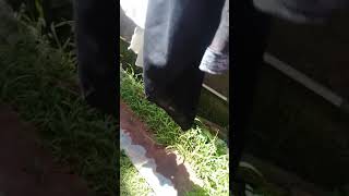 .Cd Cewe Ba Ru Di Cuci