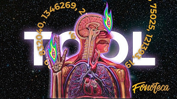 TOOL, la sucesión de FIBONACCI y su conexión con la PIEDRA FILOSOFAL