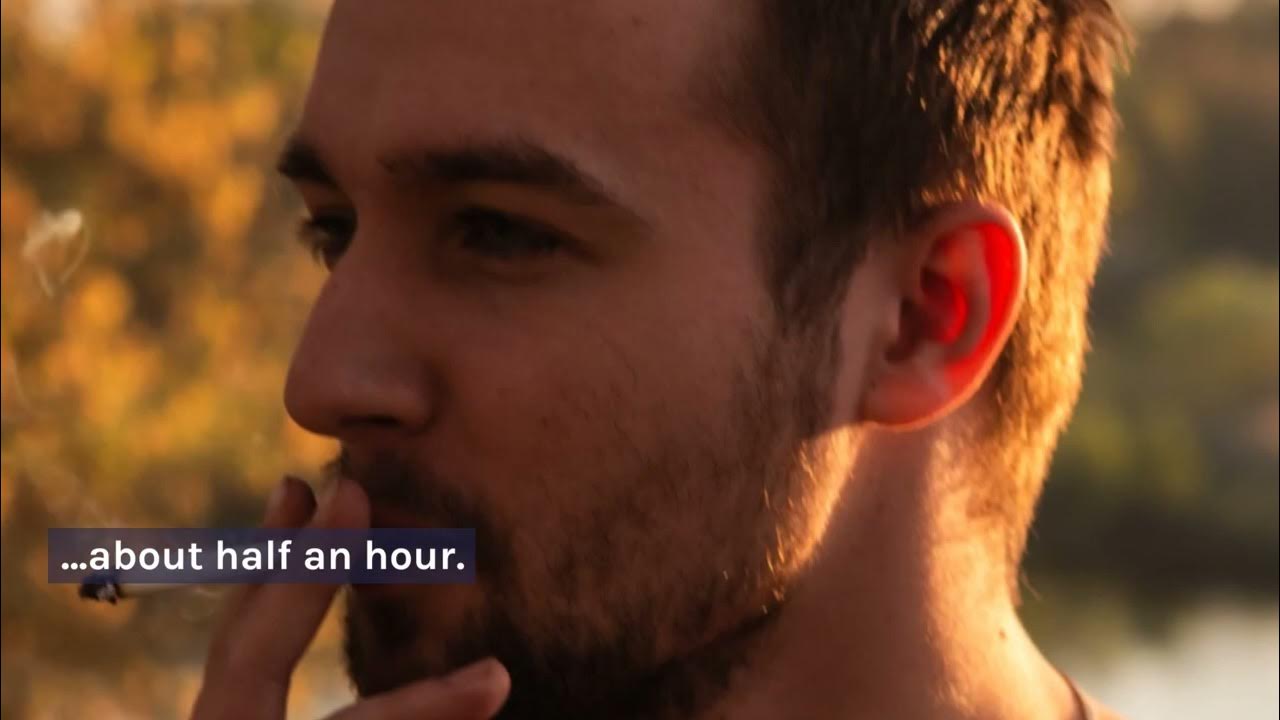 what-happens-if-you-swallow-zyn-you-won-t-believe-youtube