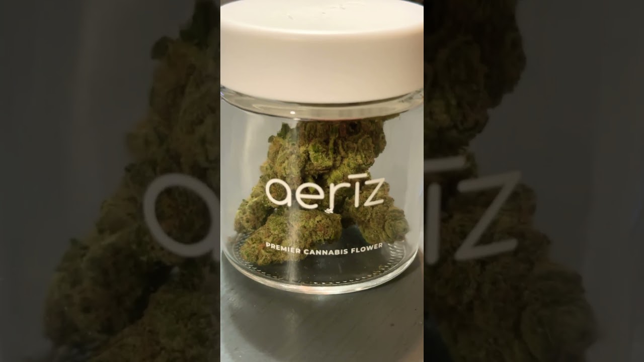 Florida Oranges- Aerīz