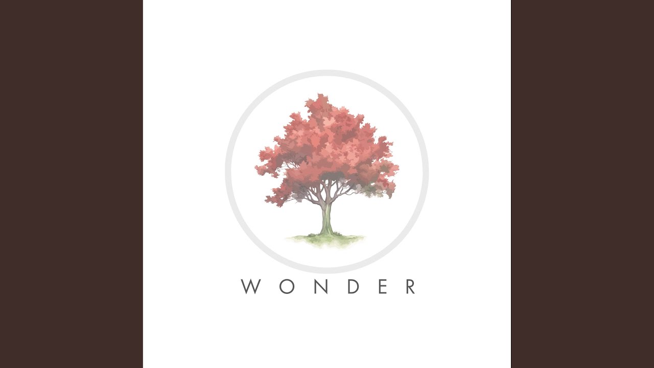 Watch Wonder on YouTube Watch Wonder on YouTube