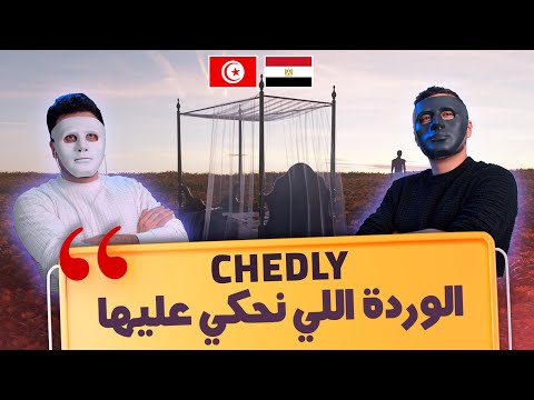 الوردة اللي نحكي عليها شادلي 
